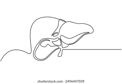 Continuous one line drawing of human lungs. One line of anatomical human lungs. Medical internal concept continuous line art, Liver human organ drawn by one line. Anatomical sketch. Isolated.