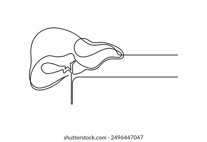 Continuous one line drawing of human lungs. One line of anatomical human lungs. Medical internal concept continuous line art, Liver human organ drawn by one line. Anatomical sketch. Isolated.