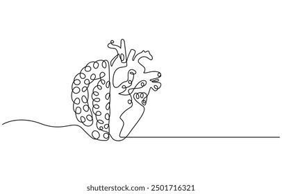 Continuous one line drawing of human brain. Hand drawn minimalism style. brain line art vector illustration, Human brain continuous one line drawing of art vector illustration and intelligence outline