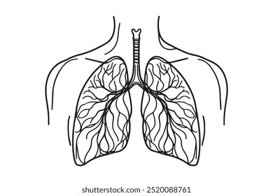 Continuous one line drawing of human lungs. Medical interior concept continuous line art. vector illustration.