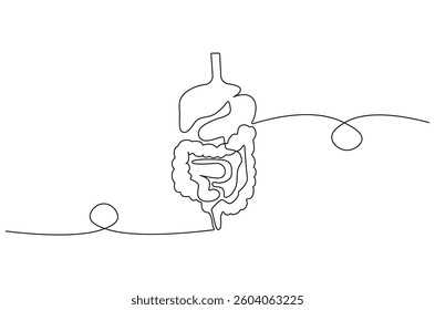 Continuous one line drawing of Human digestion. Single line drawing illustration of Human Digestive. Human anatomical concept vector art. Doodle line illustration.