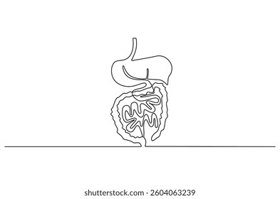 Continuous one line drawing of Human digestion. Single line drawing illustration of Human Digestive. Human anatomical concept vector art. Doodle line illustration.