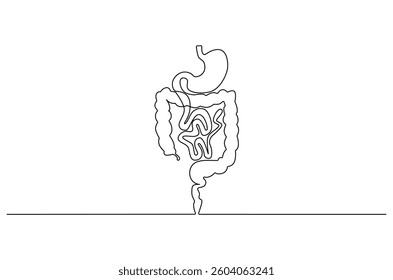 Continuous one line drawing of Human digestion. Single line drawing illustration of Human Digestive. Human anatomical concept vector art. Doodle line illustration.
