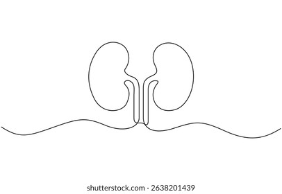 Continuous one line drawing of human organ kidney, One continuous line drawing of human kidney organ anatomy. single line drawing of kidney. editable stroke.