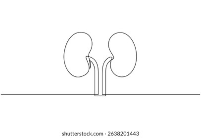 Continuous one line drawing of human organ kidney, One continuous line drawing of human kidney organ anatomy. single line drawing of kidney. editable stroke.