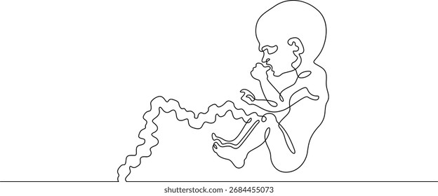 Uma linha contínua desenhando o embrião humano. Desenvolvimento do feto humano. Gravidez.Linha arte.Uma linha contínua isolada ilustração.Não AI.