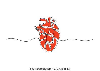 Kontinuierliche einzeilige Zeichnung des menschlichen anatomischen Herzens mit rotem Farbakzent. anatomische Darstellung von menschlichen Herzorganen. Bearbeitbarer Vektor.
