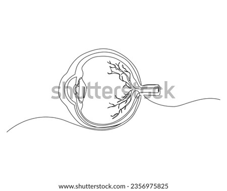 Continuous one line drawing of human eye retina. Human eyeball outline vector illustration. Editable stroke.