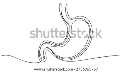 Continuous one line drawing of human stomach. stomach line art vector illustration. one line Art icon drawing vector, Human stomach anatomy continuous one line drawing for medical health and digestive system education concept. Editable stroke outline. Single contour art. Doodle hand drawn vector illustration