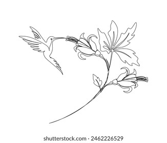 Continuous one line drawing of hummingbird with hibiscus flowers. Hummingbird is sucking the nectar out single outline vector design. Editable stroke.