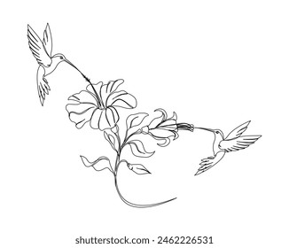 Continuous one line drawing of hummingbird with hibiscus flowers. Hummingbird is sucking the nectar out single outline vector design. Editable stroke.