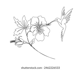 Continuous one line drawing of hummingbird with hibiscus flowers. Hummingbird is sucking the nectar out single outline vector design. Editable stroke.