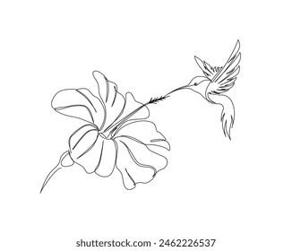 Continuous one line drawing of hummingbird with hibiscus flowers. Hummingbird is sucking the nectar out single outline vector design. Editable stroke.