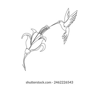 Continuous one line drawing of hummingbird with hibiscus flowers. Hummingbird is sucking the nectar out single outline vector design. Editable stroke.