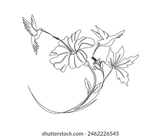 Continuous one line drawing of hummingbird with hibiscus flowers. Hummingbird is sucking the nectar out single outline vector design. Editable stroke.