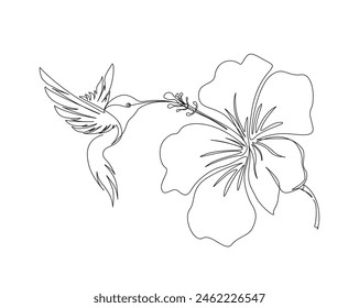 Continuous one line drawing of hummingbird with hibiscus flowers. Hummingbird is sucking the nectar out single outline vector design. Editable stroke.