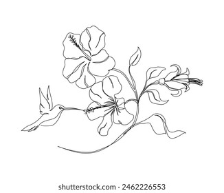 Continuous one line drawing of hummingbird with hibiscus flowers. Hummingbird is sucking the nectar out single outline vector design. Editable stroke.