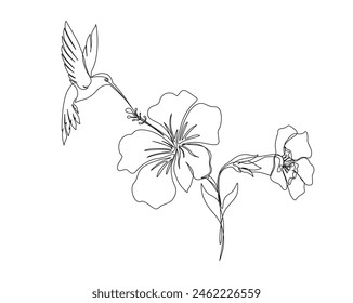 Continuous one line drawing of hummingbird with hibiscus flowers. Hummingbird is sucking the nectar out single outline vector design. Editable stroke.