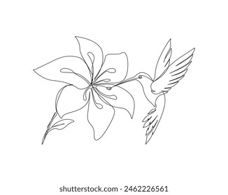 Continuous one line drawing of hummingbird with hibiscus flowers. Hummingbird is sucking the nectar out single outline vector design. Editable stroke.