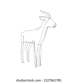 Continuous one line drawing. Impala walking symbol. Logo of the Impala. Vector illustration