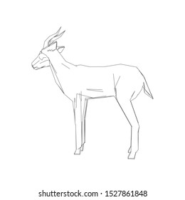 Continuous one line drawing. Impala walking symbol. Logo of the Impala. Vector illustration