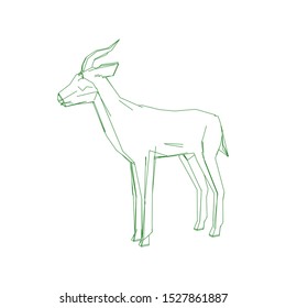 Continuous one line drawing. Impala walking symbol. Logo of the Impala. Vector illustration