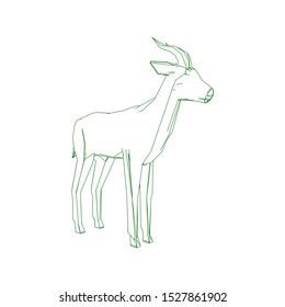 Continuous one line drawing. Impala walking symbol. Logo of the Impala. Vector illustration