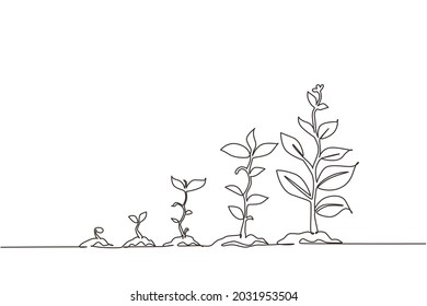 Continuous one line drawing infographic of planting tree. Seeds sprout in ground. Seedling gardening plant. Sprouts, plants, trees growing icons. Single line draw design vector graphic illustration