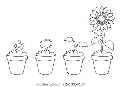 Continuous one line drawing infographic about planting and growth stage of a plant	

