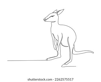 Continuous one line drawing of kangaroo . Simple illustration of standing kangaroo line art vector illustration