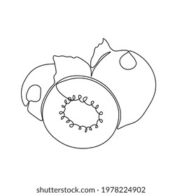 Continuous one line drawing kiwi. Vector illustration. Black line art on white background. Cartoon kiwi isolated on white background.  Vegan concept