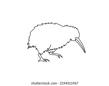 Continuous one line drawing. Kiwi Bird Vector illustration