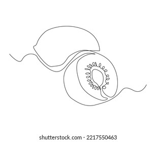 Continuous one line drawing of kiwi fruit with leaf. Qiwi fruit hand drawn single line art vector illustration.