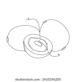 Continuous one line drawing of kiwi fruit. Vector illustration for nature food design and concept