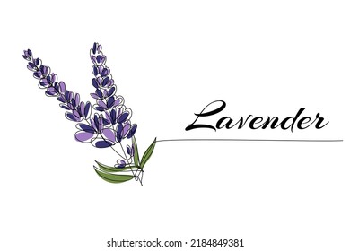 Continuous one line drawing of lavender. Modern style vector illustration on isolated background.