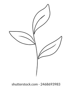 Continuous one line drawing of leaf branch. Doodle vector illustration