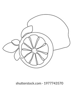 Continuous one line drawing lemon. Vector illustration. Black line art on white background. Cartoon lemon isolated on white background.  Vegan concept