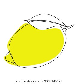 Continuous one line drawing. Lemon lime fruits. Vector illustration
