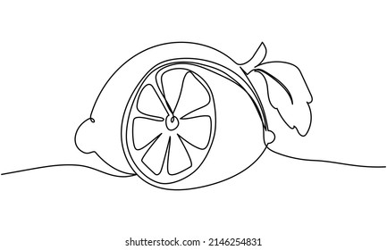 Continuous one line drawing of lemon. Vector illustration