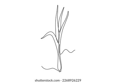 Continuous one line drawing lemon grass. Vegetable concept. Single line draw design vector graphic illustration.