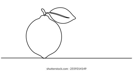 Continuous one line drawing. Lemon lime fruits, Vector illustration of lemon isolated on white background. Black and White for coloring. Organic vegetables and fruits cartoon concepts. Education. 