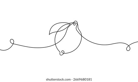 Desenho contínuo de uma linha de frutas de limão e limão. Ilustração de vetor mínima em estilo linear simples. Elemento de design de citrinos frescos para alimentos, saúde e decoração.