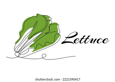 Continuous one line drawing of lettuce. Vector illustration on isolated background.