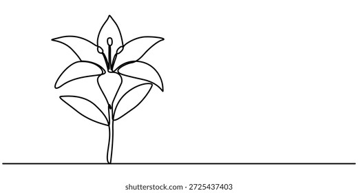 Desenho contínuo de uma linha de uma flor de lírio, traço preto editável em um fundo branco. esboço Ilustração vetorial. 
