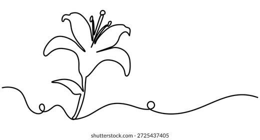 Kontinuierliche einzeilige Zeichnung einer Lilie Blume, Bearbeitbarer schwarzer Strich auf weißem Hintergrund. Kontur Vektorgrafik. 