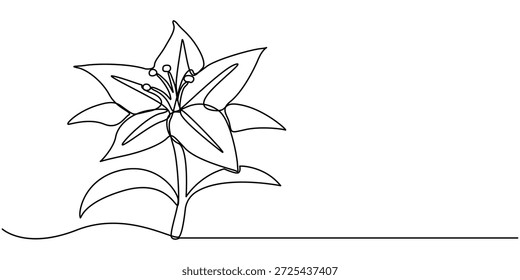 Kontinuierliche einzeilige Zeichnung einer Lilie Blume, Bearbeitbarer schwarzer Strich auf weißem Hintergrund. Kontur Vektorgrafik. 