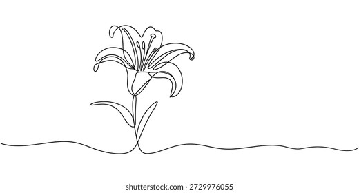 Continuous one line drawing of a lily flower bloom. Editable black stroke on a white background. Vector illustration.