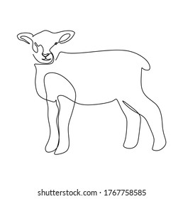 Continuous one line drawing of a little lamb sheep. Vector illustration