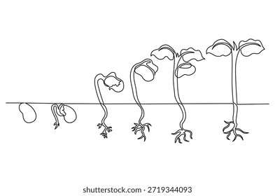Desenho contínuo de uma linha de pequenas mudas verdes crescendo. Ilustração de desenho de linha única da germinação de sementes no solo. Planta crescimento passos conceito vetor arte. Doodle linha ilustração.