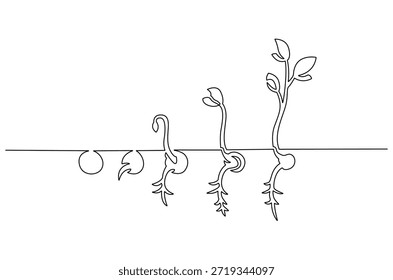 Dibujo continuo de una línea de pequeñas plántulas verdes que crecen. Ilustración de dibujo de una sola línea de germinación de semillas en el suelo. Arte vectorial de concepto de pasos de crecimiento de plantas. Ilustración de línea de Doodle.